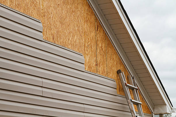 Professional Siding Repair technician working in Mims, FL
